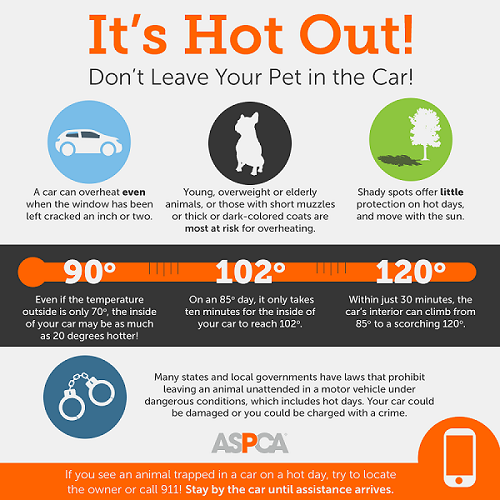 hot-cars_infographic-update_072017_shareable_b_0_500x500