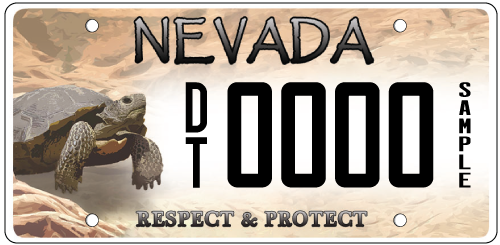 DCP plate image