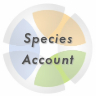 ICON-Species Account