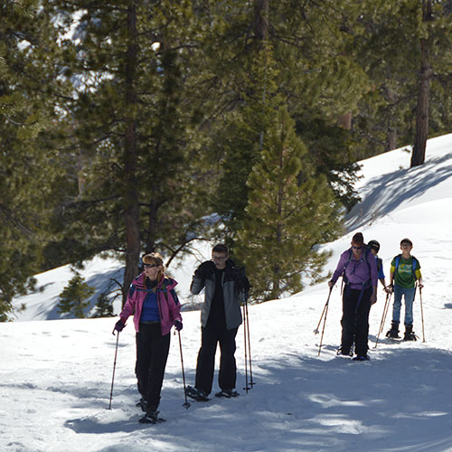 tile-snowshoe-hike